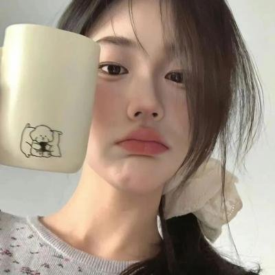 苏莱曼的故事
